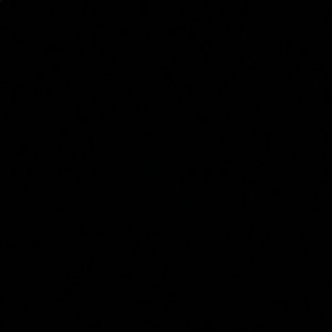 Meet your Posher, Tashai